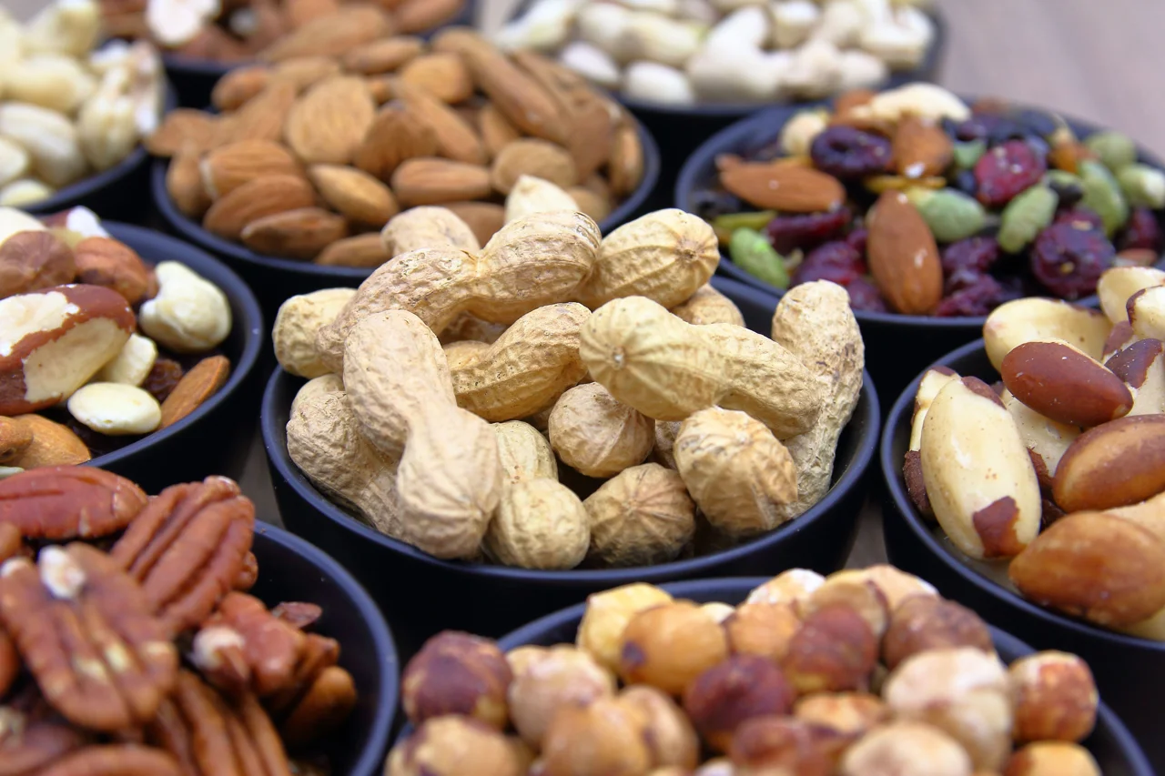 صادرات خشکبار